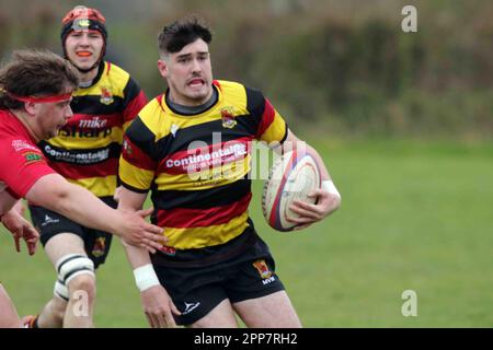 Carmarthen Quins RFC jeunes v NCE RFC jeunes Carmarthenshire Cup demi-finale 2023 Banque D'Images