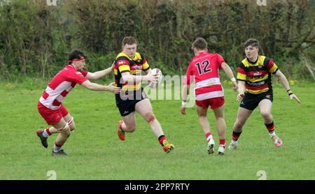 Carmarthen Quins RFC jeunes v NCE RFC jeunes Carmarthenshire Cup demi-finale 2023 Banque D'Images