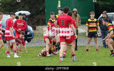 Carmarthen Quins RFC jeunes v NCE RFC jeunes Carmarthenshire Cup demi-finale 2023 Banque D'Images