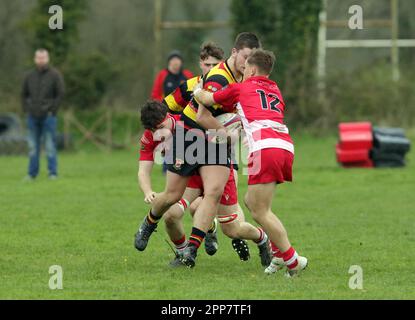 Carmarthen Quins RFC jeunes v NCE RFC jeunes Carmarthenshire Cup demi-finale 2023 Banque D'Images