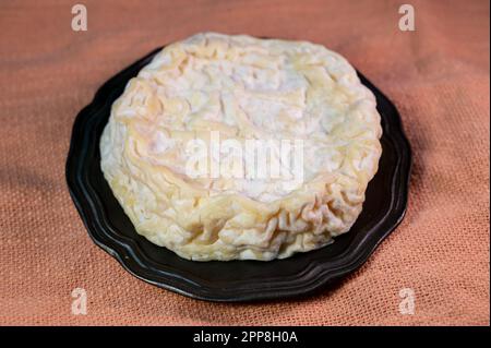 Collection de fromages français, fromage de lait de vache Saint-Marcellin à moule blanc de la région Rhône-Alpes Banque D'Images