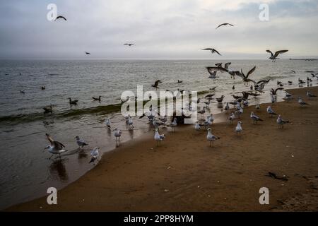 Le printemps de Cludy sur Brighton Beach, Brooklyn, NY, États-Unis Banque D'Images