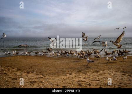 Le printemps de Cludy sur Brighton Beach, Brooklyn, NY, États-Unis Banque D'Images