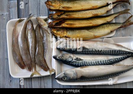 Divers types de poissons crus de maquereau, de Saurida undosquamis, de lézardfish à dents brushtoes, de grande groseille ou de grande verge et de sel fumé Banque D'Images