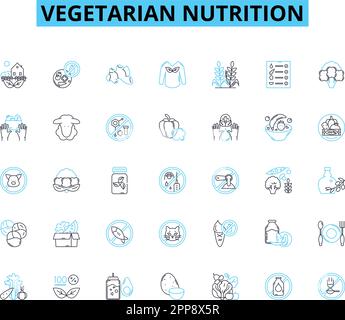 ensemble d'icônes linéaires de nutrition végétarienne. Légumes, protéines, fibres, fer, calcium, Vitamine B, vecteur de la lignée oméga et signes conceptuels. Soja,légumineuses,noix Illustration de Vecteur