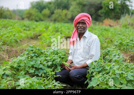 Un fermier indien heureux tenant mobile à la main Banque D'Images