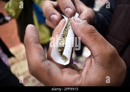 Les gens détiennent du cannabis pour construire des cigarettes pendant les célébrations de la Journée du cannabis 420 à Bogota, Colombie sur 20 avril 2023. Photo de: Cristian Bayona/long Visual Press Banque D'Images