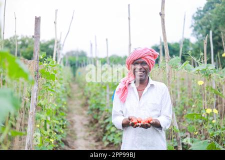 Agriculteur indien tenant la tomate entre les mains, fermier heureux Banque D'Images