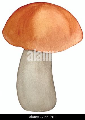 Set d'automne aquarelle vector. Décorations avec feuilles de forêt et champignons. Illustration de Vecteur