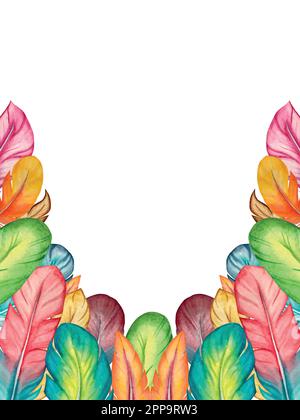 Collection de plumes vectorielles aquarelle. Éléments décoratifs avec plumes. Illustration de Vecteur