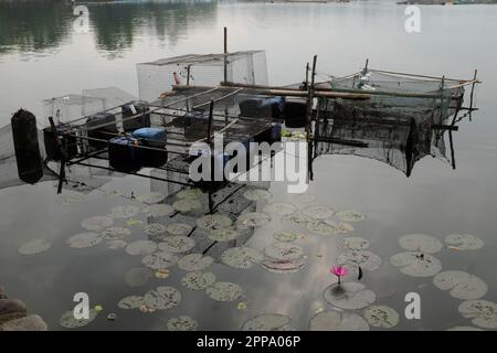 Aquarium flottant ou cage à poissons dans le lac Sampaloc à San Pablo City, Laguna, Philippines. Banque D'Images