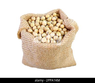 Soja séché dans un sac Burlap isolé sur fond blanc Banque D'Images