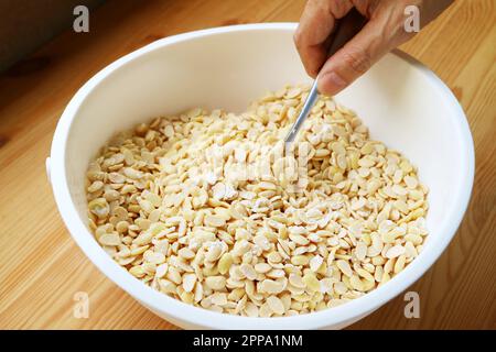 Procédé de mélange de poudre de tempeh Starter avec du soja bouilli Banque D'Images