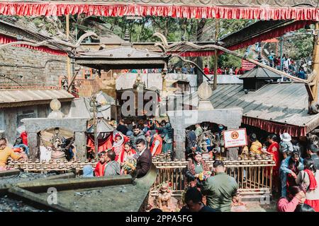 Katmandou, NÉPAL - 14 avril 2023: Des dévotés hindous offrant des prières au temple de Dakshinkali près de katmandou à l'occasion du nouvel an népalais 2080. Banque D'Images