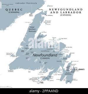 Île de Terre-Neuve, carte politique grise. Partie de la province canadienne de Terre-Neuve-et-Labrador avec la capitale St. Johns. Banque D'Images