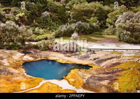 Zone geotermal Orakei Korako, Nouvelle-Zélande Banque D'Images