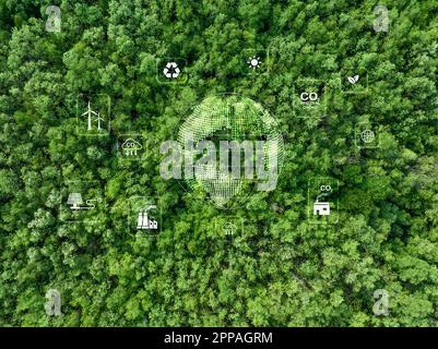 Énergie durable. Concept de neutralité carbone et d'émissions nettes nulles. Les arbres verts en forêt capturent le carbone de l'usine. Réduire en usine CO2 en utilisant Banque D'Images