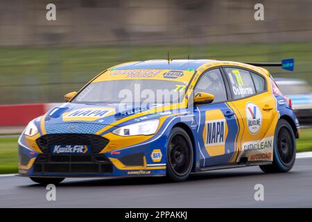 Donington Park, Castle Donington, Leicestershire, Royaume-Uni. 23rd avril 2023 ; Donington Park, Castle Donington, Leicestershire, Angleterre : championnat de voitures de tourisme britannique Kwik Fit ; Sam Osborne dans son NAPA Racing UK Ford Focus ST crédit : action plus Sports Images/Alay Live News crédit : action plus Sports Images/Alay Live News Banque D'Images