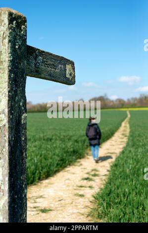 Panneau de sentier public dans la campagne avec un randonneur sur le chemin. Banque D'Images