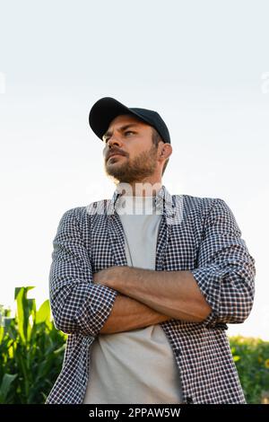 Fermier barbu dans une casquette et une chemise à motif écossais sur le fond d'un champ de maïs. Photo de haute qualité Banque D'Images