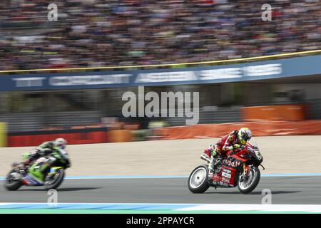 ASSEN - Alvaro Bautista (SPA) sur son Ducati en tête suivi par Jonathan Rea (GBR) sur son Kawasaki pendant la course de Superbike au circuit de TT Assen. ANP VINCENT JANNINK Banque D'Images