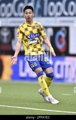 Sint Truiden, Belgique. 23rd avril 2023. Daichi Hayashi de STVV photographié lors d'un match de football entre Sint-Truidense VV et Royal Antwerp FC, dimanche 23 avril 2023 à Sint-Truiden, le 34th et dernier jour de la phase régulière de la première division du championnat belge de la « Jupiler Pro League » 2022-2023. BELGA PHOTO JOHAN EYCKENS crédit: Belga News Agency/Alay Live News Banque D'Images