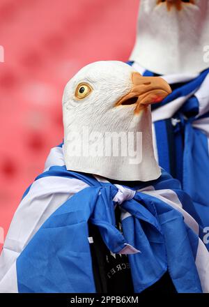 Stade Wembley, Londres, Royaume-Uni. 23rd avril 2023. FA Cup semi final football, Brighton et Hove Albion versus Manchester United; fan de Brighton portant un masque de tête de mouette à l'intérieur du stade Wembley crédit: Action plus Sports/Alamy Live News Banque D'Images