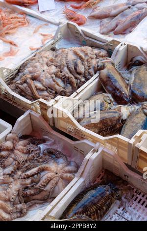 Plateaux de calamars et pieuvre à vendre sur le marché aux poissons de Catane, Sicile, Italie Banque D'Images