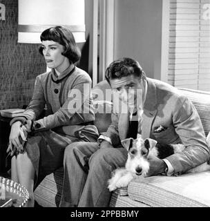 PHYLLIS KIRK en tant que Nora Charles et PETER LAWFORD en tant que Nick Charles avec ASTA sur le plateau Candid pendant le tournage de la saison 1 Episode 7 LE directeur DES MEURTRES ACROSTIQUES OSCAR RUDOLPH personnages créés par Dashiell Hammett Story et le téléplay Phil Davis et Charles Hoffman a été diffusée sur 1 novembre 1957 de LA SÉRIE de télévision 1957 - 1959 Clarington Productions / MGM Television / National Broadcasting Company (NBC) Banque D'Images