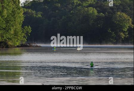 Club d'aviron sur un lac STILL Banque D'Images