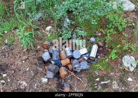 Déchets jetés dans la forêt, bouteilles vides et canettes brûlées dispersées autour. Impact négatif du comportement humain sur l'environnement naturel Banque D'Images