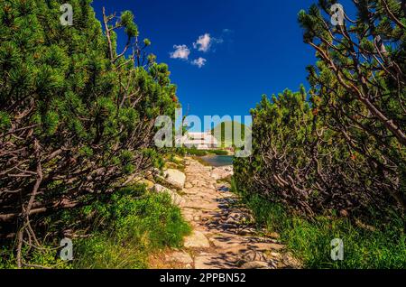 Sentier et chalet de montagne dans le magnifique paysage d'été. Chemin menant à travers les pins nains à l'auberge en bois dans la vallée de Five Pond à Tatra Banque D'Images