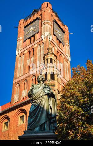 Torun, Pologne - 17 septembre 2014 : statue de Nicolaus Copernic devant l'hôtel de ville de Torun, Pologne. Banque D'Images