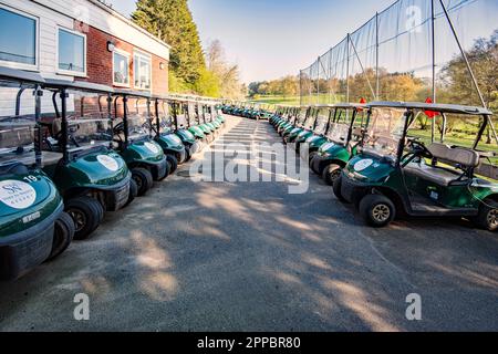 Golf Buggies à louer à Stoke by Nayland Golf Resort, Leavenheath, Colchester, Essex Banque D'Images