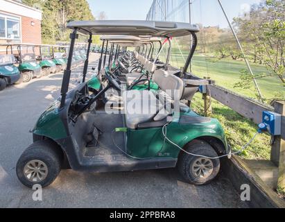 Golf Buggies à louer à Stoke by Nayland Golf Resort, Leavenheath, Colchester, Essex Banque D'Images
