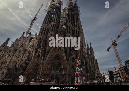Barcelone, Espagne. 23rd avril 2023. Les 'Stagals d'Osona' construisent une tour humaine en face de la Sagrada Familia de Barcelone. Credit: Matthias Oesterle/Alamy Live News Banque D'Images