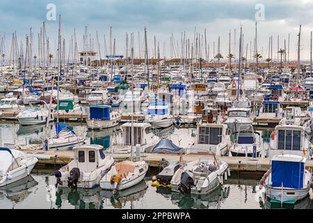 Port de plaisance de Port de Alcudia, Majorque, Iles Baléares, Espagne Banque D'Images