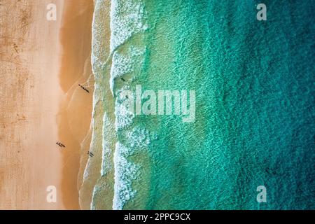 Vue aérienne de la plage dans le parc de Corralejo, Fuerteventura, îles Canaries. Plage de Corralejo (grandes Playas de Corralejo) sur Fuerteventura, îles Canaries, Banque D'Images
