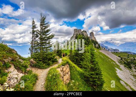 Montagne populaire dans les Alpes suisses appelée Schynige Platte en Suisse. Vue sur Schynige Platte, région de Jungfrau, Suisse. Vue sur Wetterhorn, S. Banque D'Images