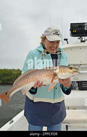 Un pêcheur à la ligne admire une jolie prise des appartements et des îles au large de Crystal River dans le comté de Citrus ! Gros poisson ! Banque D'Images