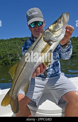 Un pêcheur à la ligne admire une jolie prise des appartements et des îles au large de Crystal River dans le comté de Citrus ! Les grands snook sont toujours mordre ! Banque D'Images