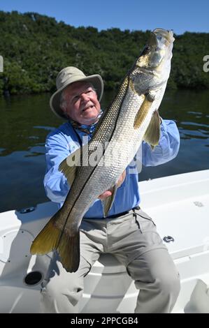 Un pêcheur à la ligne admire une jolie prise des appartements et des îles au large de Crystal River dans le comté de Citrus ! Les grands snook sont toujours mordre ! Banque D'Images