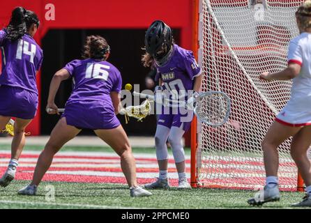 23 avril 2023 : le gardien de but James Madison Kat Buchanan (40) fait une économie lors d'un match de crosse des femmes de la NCAA entre l'université James Madison et les chevaliers de Scarlet Rutgers au STADE SHI à Piscataway, N.J. Mike Langish/Cal Sport Media. Banque D'Images