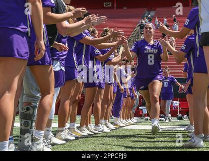 23 avril 2023: La défenseuse James Madison Carolyn Thistlewaite (8) est présentée comme une entrée avant un match de la NCAA Womens Lacrosse entre l'Université James Madison et les chevaliers de l'Scarlet Rutgers au STADE SHI à Piscataway, N.J. Mike Langish/Cal Sport Media. Banque D'Images