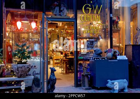 Toronto, Ontario / Canada - 24 févr. 2020 : vitrines rustiques de magasins d'antiquités en soirée Banque D'Images
