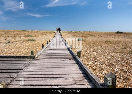 DUNGENESS, ANGLETERRE - 16th JUILLET 2022 : promenade sur la plage de galets de Dungeness en été, Kent Banque D'Images