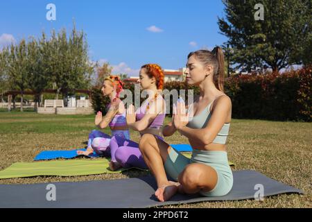 Amis méditant ensemble assis sur des tapis d'exercice dans le parc Banque D'Images