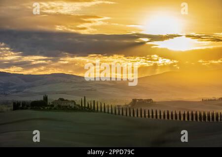 Italie, Toscane, Castiglione d'Orcia, soleil levant sur une ligne de cyprès à Val d'Orcia Banque D'Images