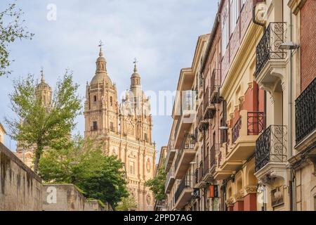 Espagne, Castilla y Leon, Salamanque, rangée de maisons avec clochers de la Nouvelle cathédrale en arrière-plan Banque D'Images