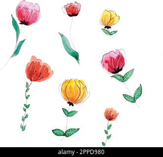 fleurs colorées, aquarelle, vecteur de peinture. Illustration du ressort Illustration de Vecteur